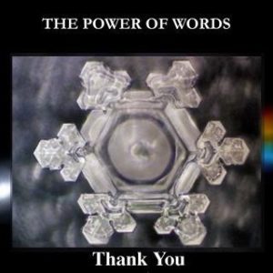 water crystal the power of words