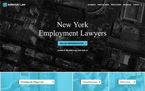 Rapaport Law Laptop Screenshot